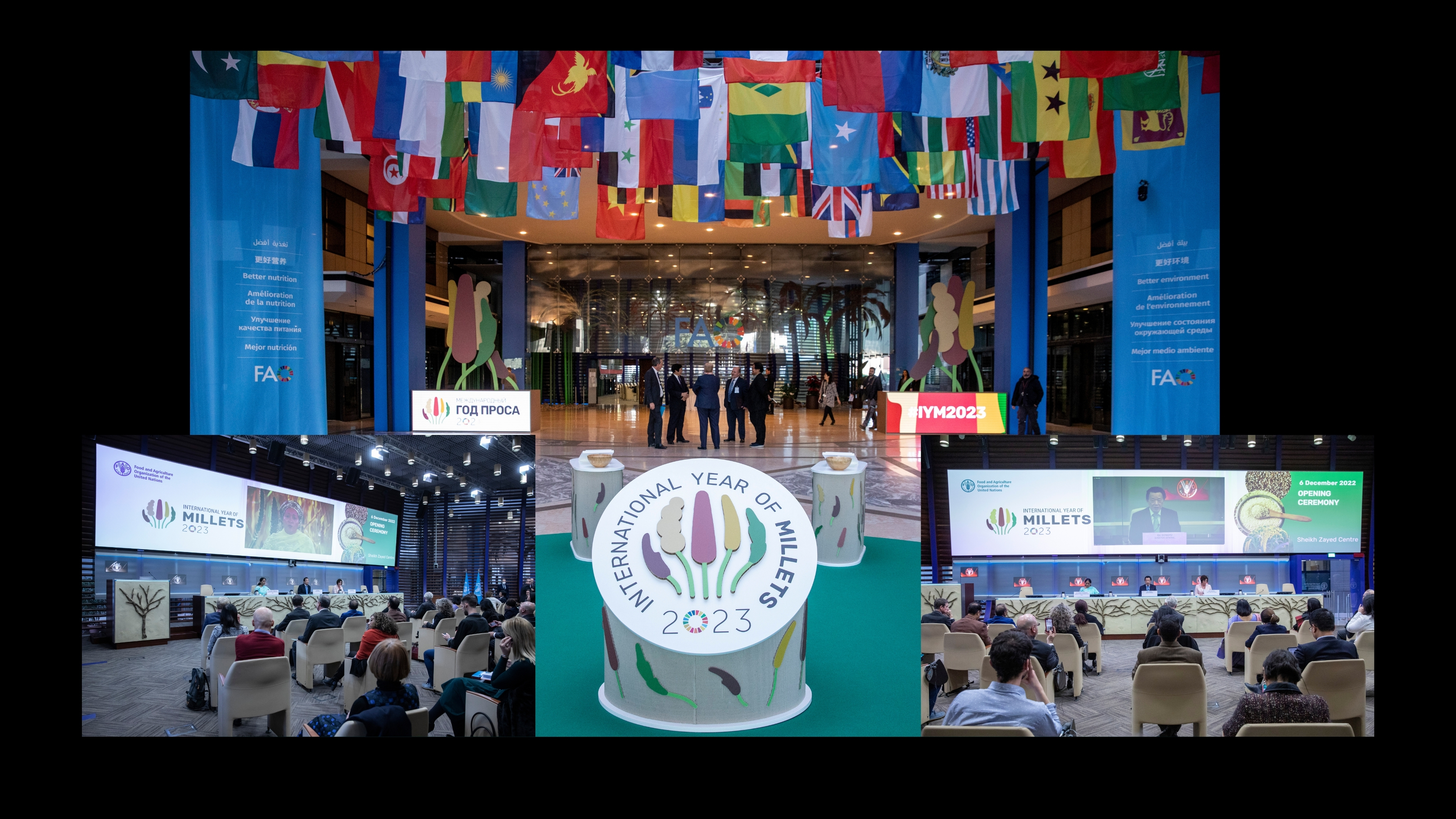 International Millet Conference